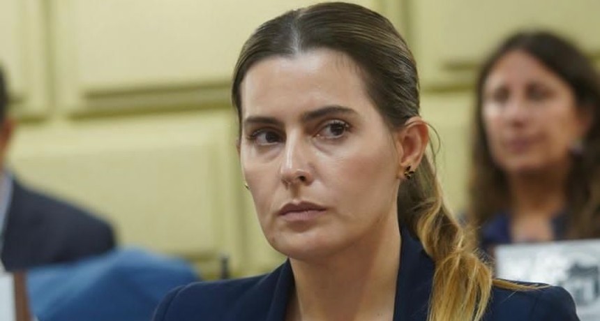 Cattalini solicit&oacute; al Consejo de la Magistratura suspender al Juez Federal Salmain