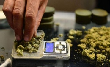 Uruguay anunci&oacute; que vender&aacute; marihuana en farmacias 