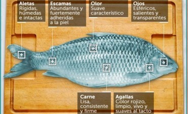 Una serie de consejos antes de comer el cl&aacute;sico pescado de Semana Santa
