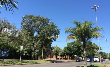 Hermosa jornada de lunes en la Ciudad