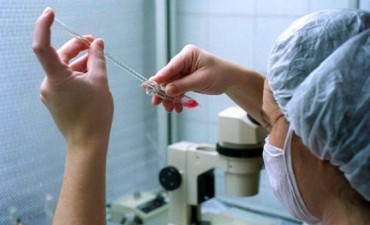 C&oacute;mo ser&aacute; el Registro de Violadores