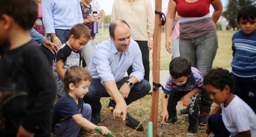 Contin&uacute;a la plantaci&oacute;n de &aacute;rboles por parte del Municipio