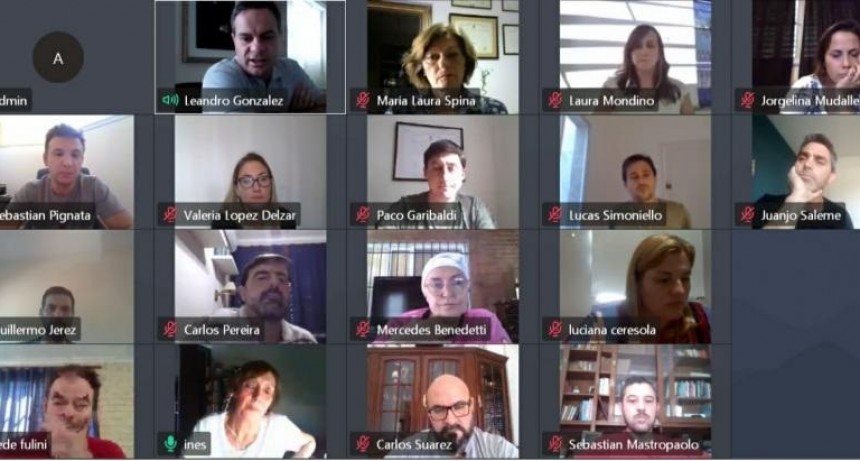 Telereuni&oacute;n plenaria en el Concejo: se generaron propuestas para afrontar la emergencia