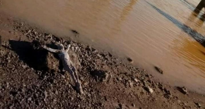 Conmoci&oacute;n por aparici&oacute;n de un Cristo en la costa del r&iacute;o Paran&aacute;