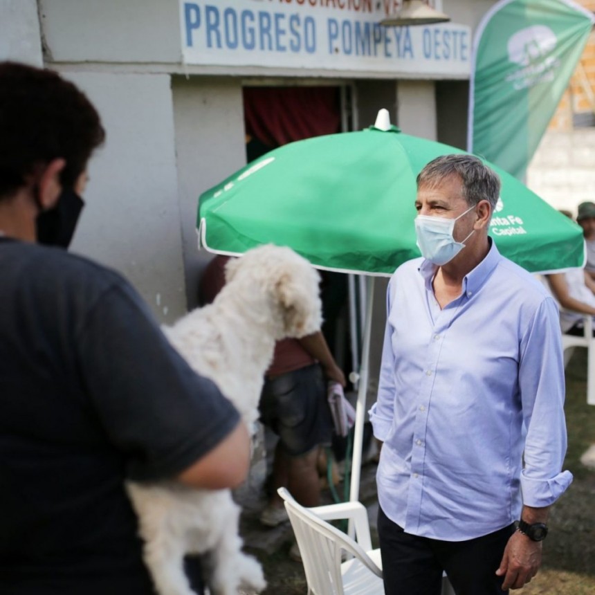 La campa&ntilde;a municipal de castraci&oacute;n gratuita sigue en los distintos barrios