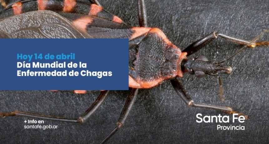 El Ministerio de Salud realiz&oacute; recomendaciones para evitar la enfermedad de Chagas