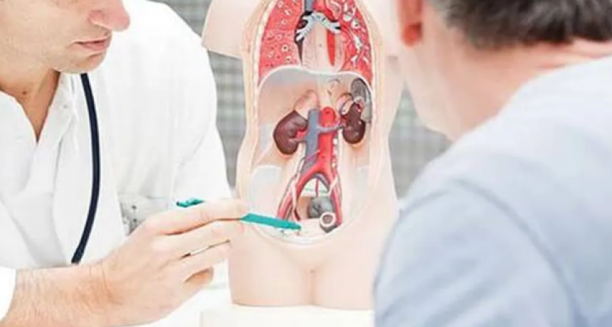 Innovaci&oacute;n en el tratamiento del c&aacute;ncer de pr&oacute;stata