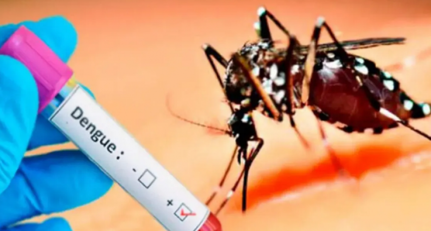 HIST&Oacute;RICO Dengue: 269 mil casos y 197 muertos desde octubre pasado