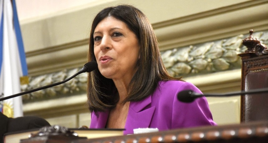 Clara Garc&iacute;a fue reelecta presidenta de la C&aacute;mara de Diputados