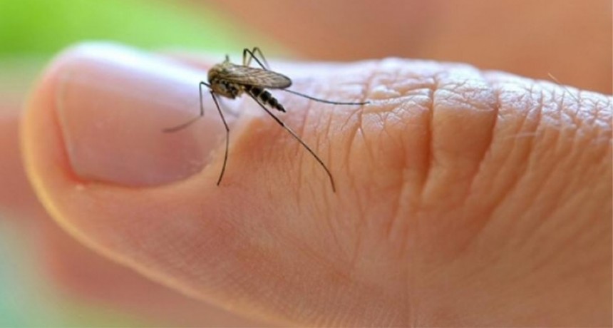 Preocupante y alarmante suba de los casos de dengue en la provincia de Santa Fe