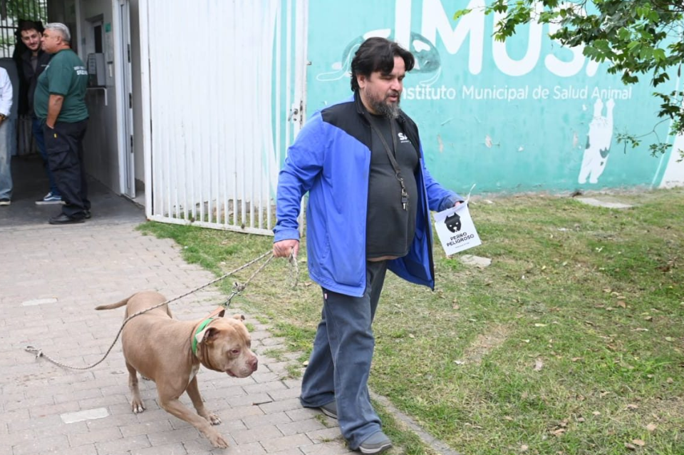 Programa Huellas: comenz&oacute; el chipeo obligatorio de perros de m&aacute;s de 15 kg