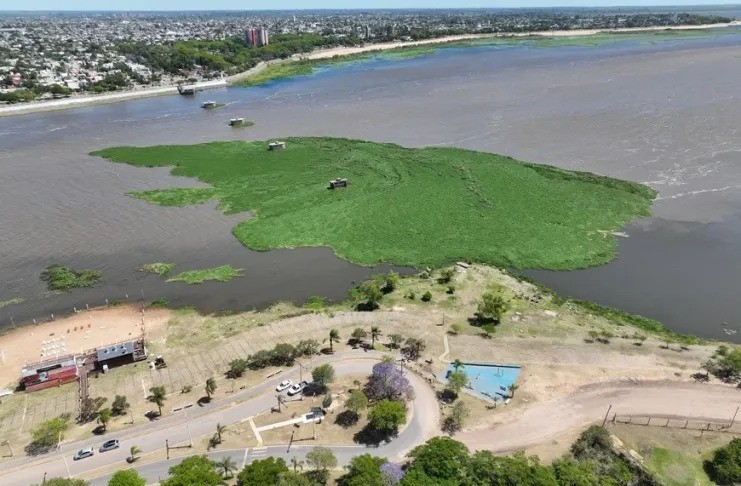 Crece el embalsado en la Laguna Set&uacute;bal y alertan por complicaciones para la navegaci&oacute;n