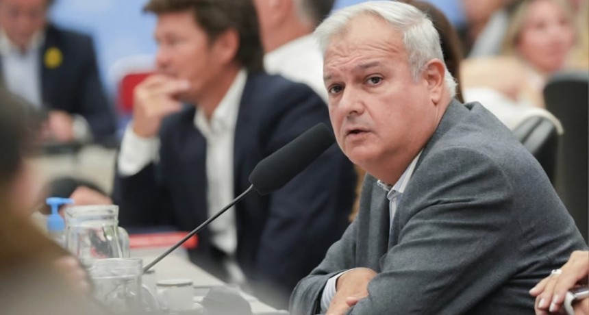 El diputado nacional Pablo Far&iacute;as ser&aacute; observador electoral en los comicios generales de Per&uacute;