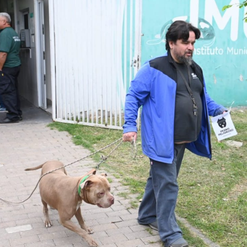 Programa Huellas: comenz&oacute; el chipeo obligatorio de perros de m&aacute;s de 15 kg