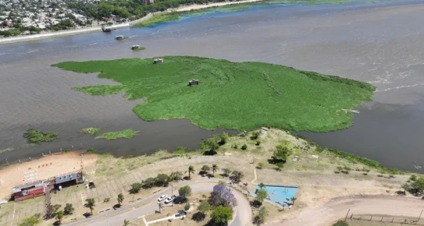 Crece el embalsado en la Laguna Set&uacute;bal y alertan por complicaciones para la navegaci&oacute;n