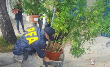 Detuvieron a un vendedor de droga con pesos, d&oacute;lares, euros, reales y un arma cargada