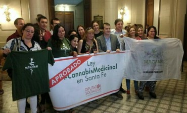 Cinco claves para entender la importancia de la ley de cannabis medicinal
