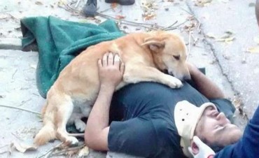 Tony, el perro que emocion&oacute; a Bah&iacute;a Blanca