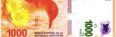 En octubre lanzar&aacute;n el billete de $1000 con la imagen del hornero