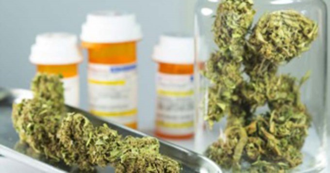 Uruguay abrir&aacute; un registro de consumidores de marihuana legal