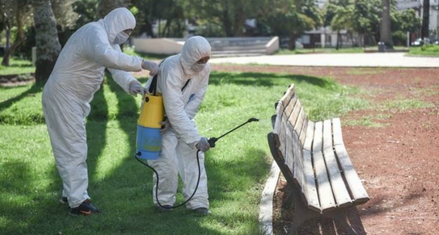 Informe sobre las actuaciones municipales en el marco de la pandemia de COVID-19 (02-05-20)
