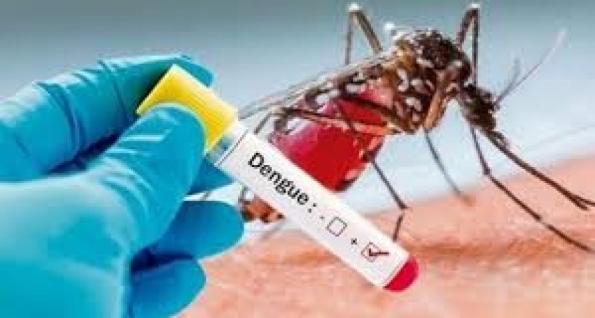 Son casi cinco mil los casos sospechosos de dengue en la provincia