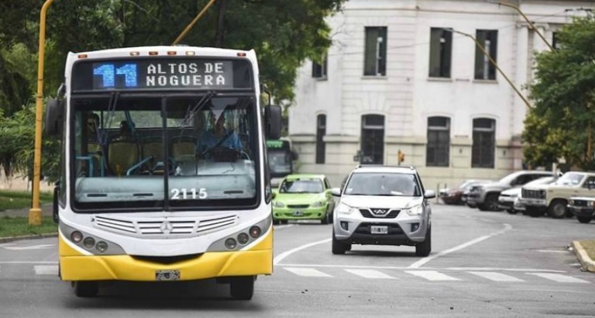 Informe sobre las actuaciones municipales en el marco de la pandemia de COVID-19 (03-05-20)