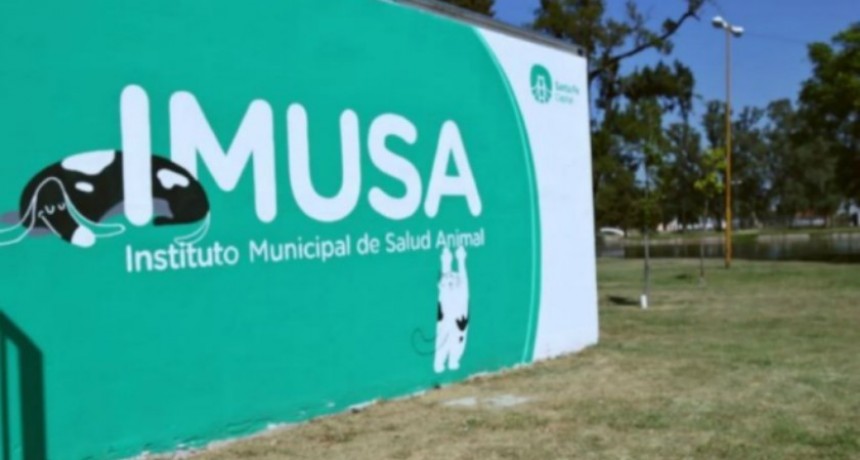 El IMUSA brinda atenci&oacute;n especial a animales de compa&ntilde;&iacute;a durante la cuarentena