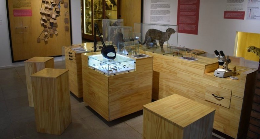 El  Museo de Ciencias Naturales &ldquo;Florentino Ameghino&rdquo; cumple 106 a&ntilde;os