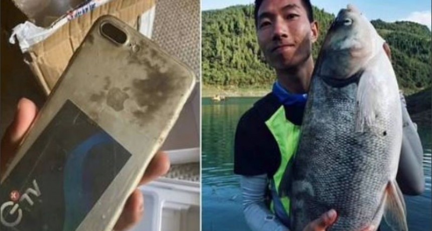 Se le cay&oacute; el celular al r&iacute;o, lo recuper&oacute; meses despu&eacute;s y sigue funcionando