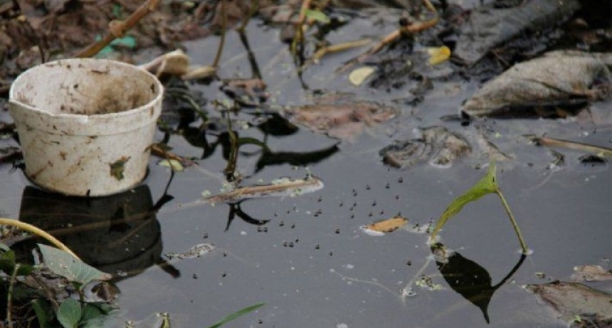 Casi 5 mil casos de dengue en la provincia de Santa Fe