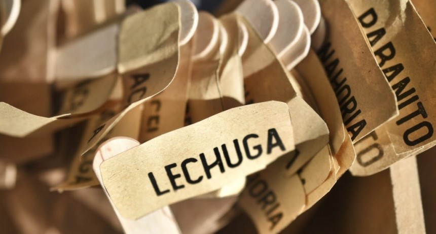 Talleres sobre huertas agroecol&oacute;gicas familiares