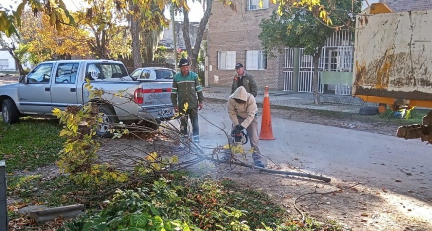 Trabajos de iluminaci&oacute;n, arbolado y bacheo previstos para este martes