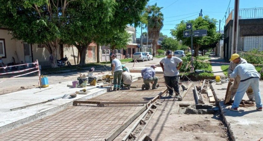 Trabajos de fumigaci&oacute;n, iluminaci&oacute;n y bacheo previstos para este jueves