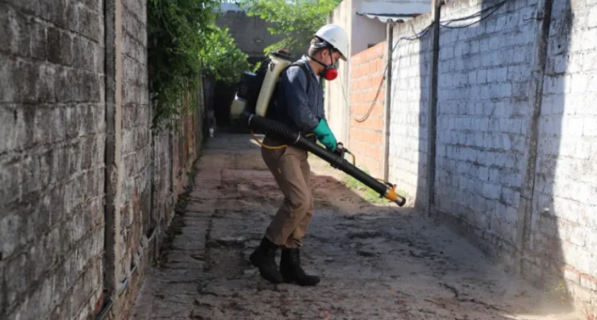 Leve descenso de los casos de dengue en la provincia