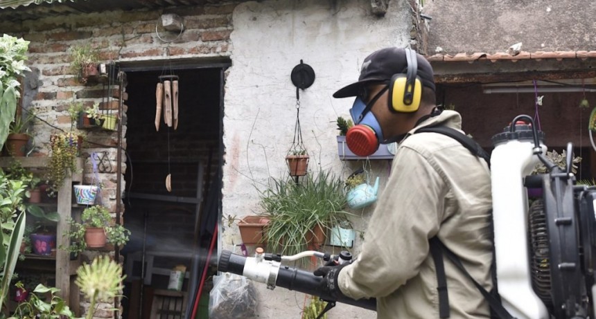 Dengue: desciende la cantidad de nuevos casos en la ciudad