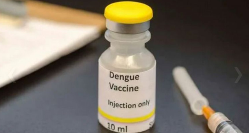El Gobierno incorporar&aacute; la vacuna del dengue de forma focalizada