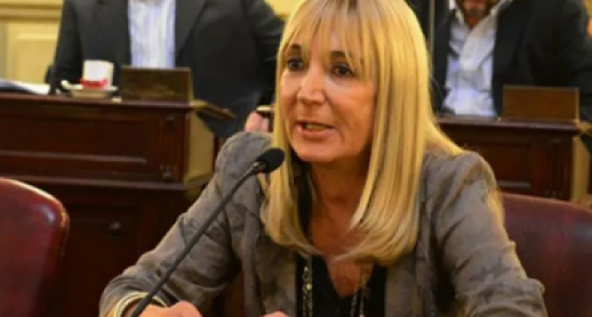 Exdiputada de Santa Fe cobra $11 millones y no quiere pagar un aporte solidario