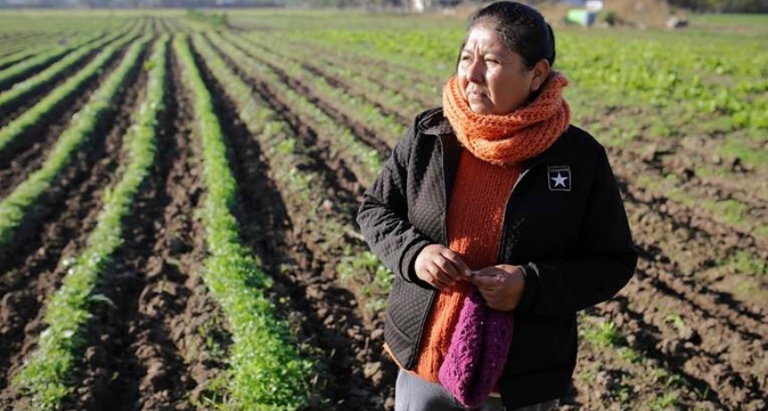 Alimentos naturales y a precio justo: as&iacute; funciona el Mercado Santafesino