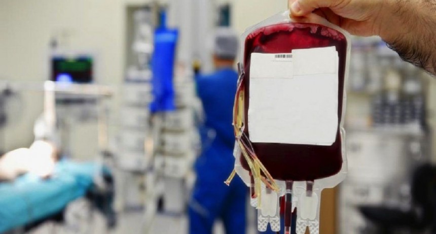 Diputados proponen Ley para motivar la donaci&oacute;n de plasma de recuperados de coronavirus 