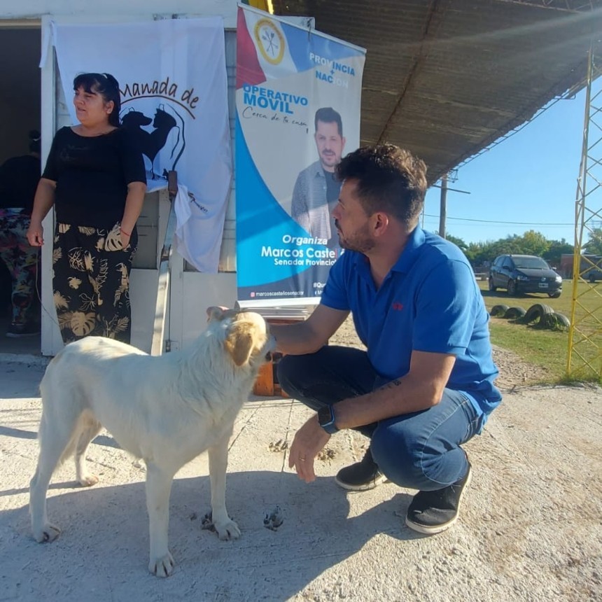 Castell&oacute; present&oacute; un proyecto para crear el hospital p&uacute;blico veterinario provincial