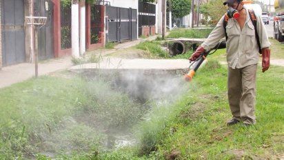 Dengue en Santa Fe: intensifican las acciones de bloqueo y prevenci&oacute;n