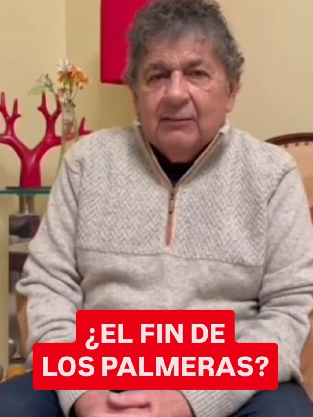 EL FIN DE ¿LOS PALMERAS?