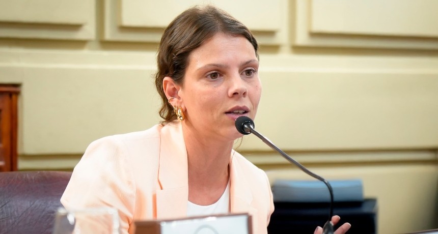 Gisel Mahmud: Pensar una constituci&oacute;n en tiempos digitales