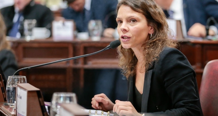La diputada Gisel Mahmud opin&oacute; sobre una nueva Ley de Educaci&oacute;n