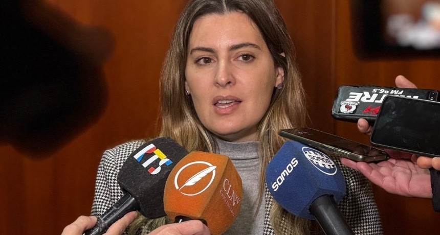 Cattalini: "Salmain tiene que rendir cuentas ante la justicia"