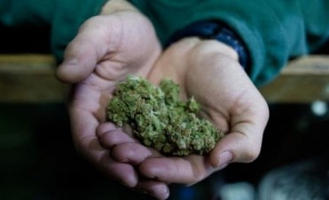 Las farmacias uruguayas comenzar&aacute;n a vender marihuana