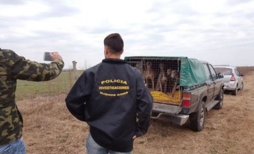 Desbarataron a una banda que organizaba carreras de galgos por Facebook