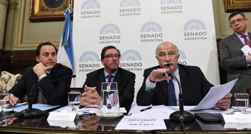 El Senado continúa con las audiencias por la ley del aborto