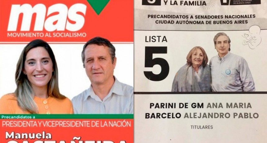 Permitir&aacute;n el uso de pa&ntilde;uelos verdes o celestes en las boletas electorales